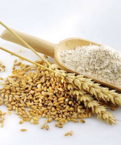 Wheat Flour
